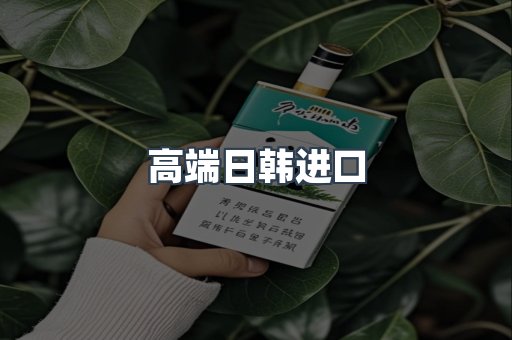 高端日韩进口